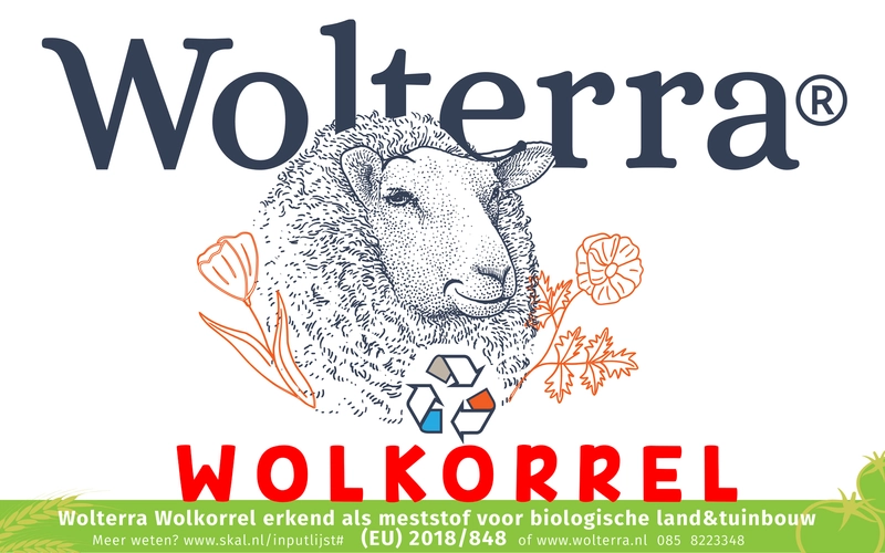 Informatiedag Wolterra wolkorrels
