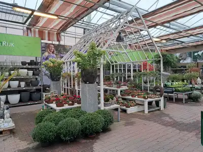 Kijkje in ons tuincentrum