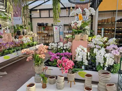 Kijkje in ons tuincentrum