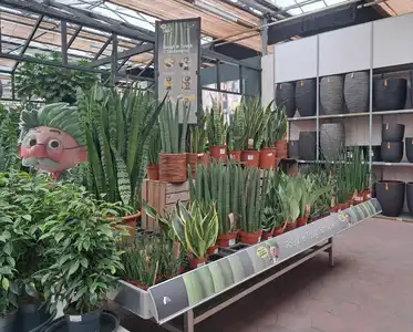 Kijkje in ons tuincentrum